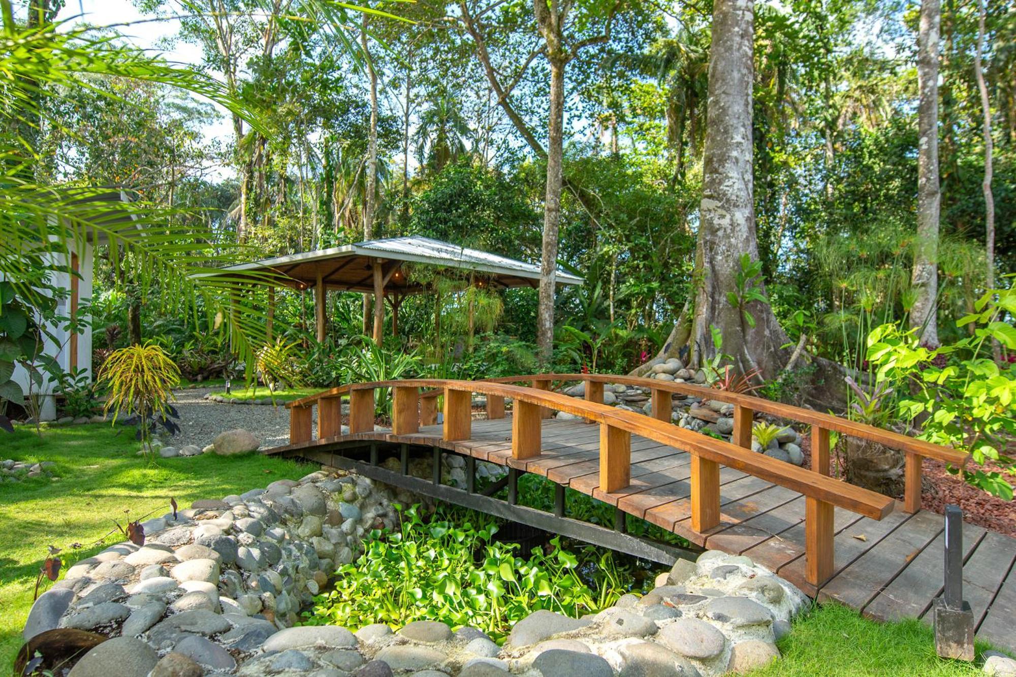 Dragonfly Beachfront Villas-Adult Only プンタ・ウバ エクステリア 写真
