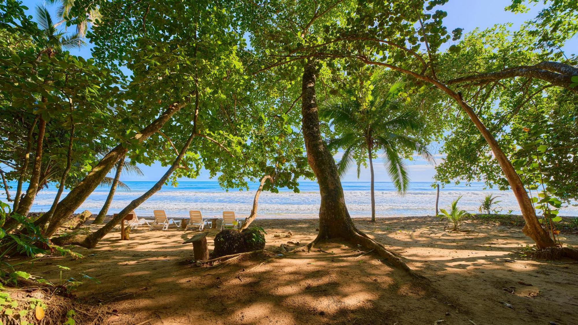 Dragonfly Beachfront Villas-Adult Only プンタ・ウバ エクステリア 写真