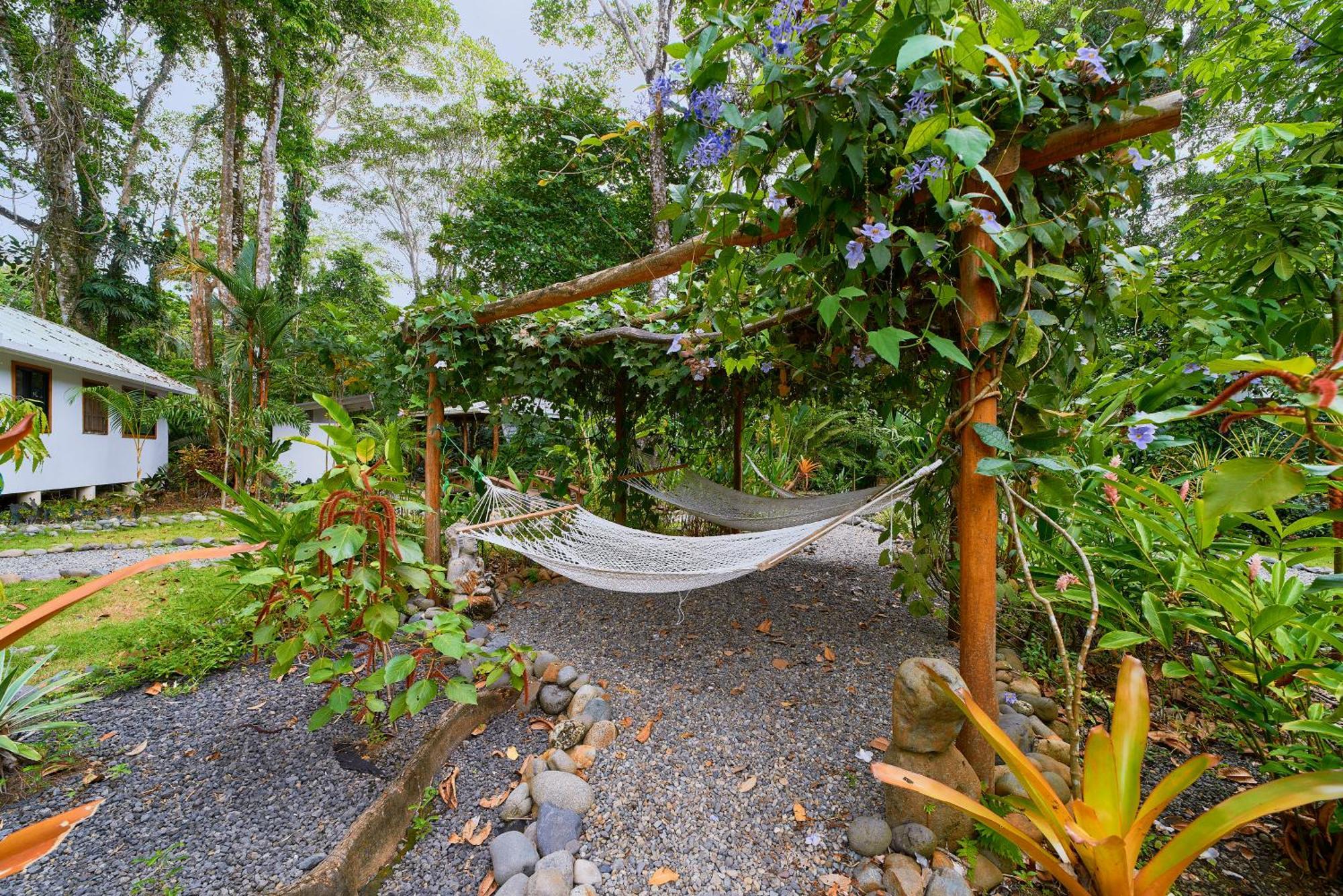 Dragonfly Beachfront Villas-Adult Only プンタ・ウバ エクステリア 写真